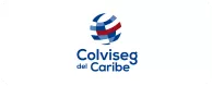 19-colviseg-cliente-psicoalianza-pruebas-psicotecnicas-online