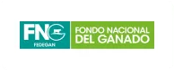 20-fng-cliente-psicoalianza-pruebas-psicotecnicas-online
